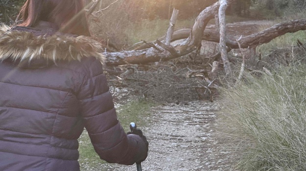 PUT ZA GROBLJE UKLANJANJE PALOG STABLA