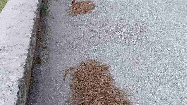 LIBURNIJSKA UL. UREĐENJE POVRŠINA