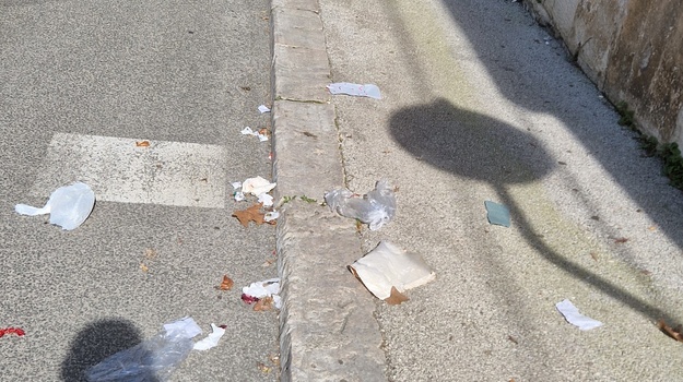 TARTINIJEVA UL. ILEGALNI OTPAD