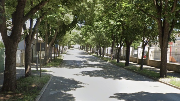 UL. 43. ISTARSKE DIVIZIJE ČIŠĆENJE KOLNIKA