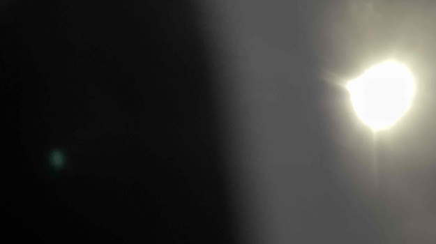 ŠUMA LUNGOMARE DIVLJAČ