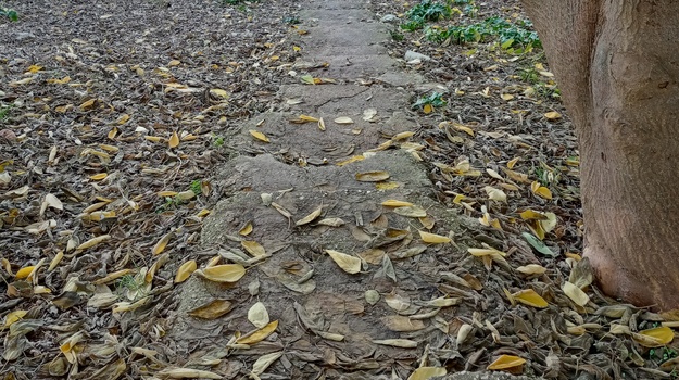 NAZOROVA UL. SANIRANJE STEPENICA