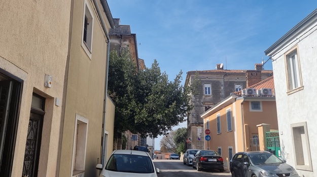 VARAŽDINSKA UL. OREZIVANJE GRANA