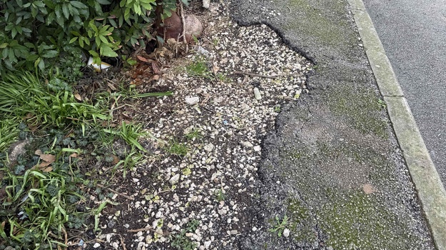 STIGLICHEVA UL. SANIRANJE NOGOSTUPA