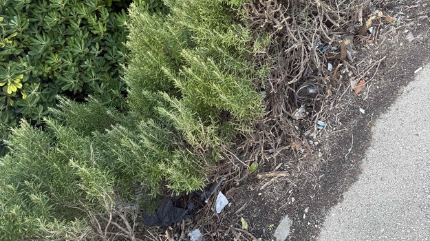 UL. JURJA ŽAKNA OTPAD