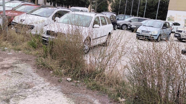VOLTIĆEVA UL. KOŠNJA