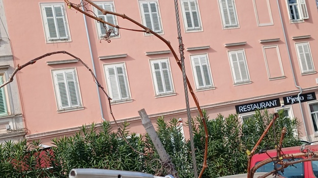 MLETAČKA UL. SANIRANJE NOSAČA NA NADSTREŠNICI