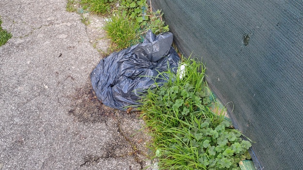 DOBRICHEVA UL. ILEGALNI OTPAD