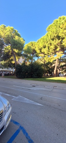 PARK