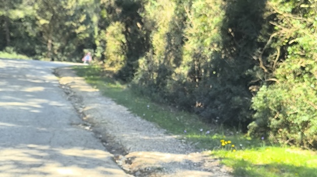 UL. FIŽELA PROŠIRENJE PROMETNICE