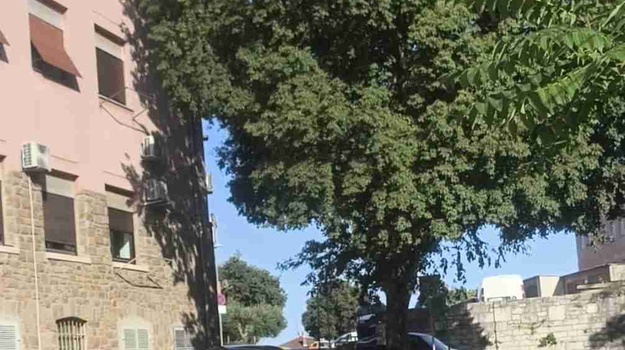 ROVINJSKA UL. NEPROPISNO PARKIRANJE