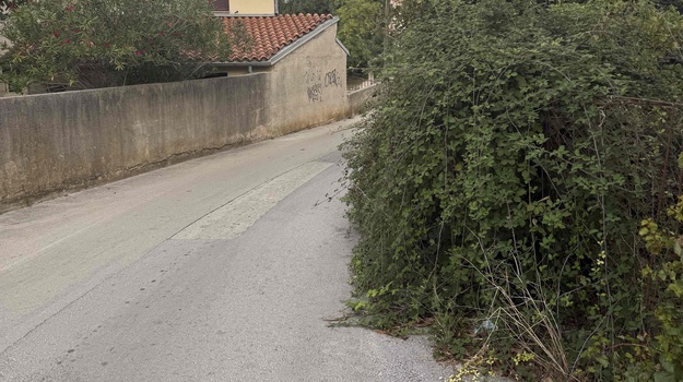 JAPODSKA UL. OREZIVANJE GRANA